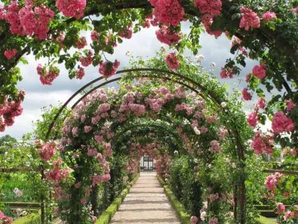 Awakening Your Spiritual Path: A Gentle Beginning