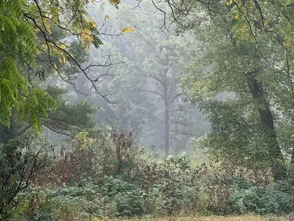 Aware, Curious, & Explore