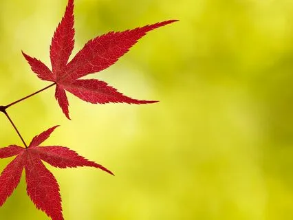 Mindful Of Breathing For Complete Relaxation