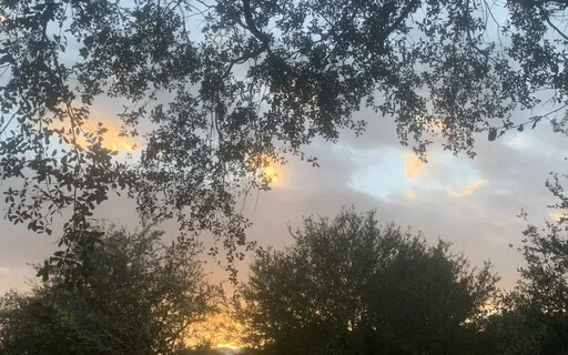 Aware Presence Meditation