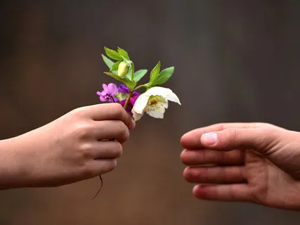 Awareness And Kind Acceptance Of Self