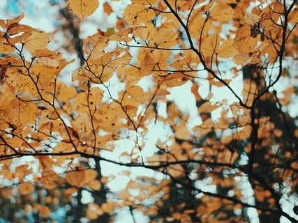 Awareness - Body Access Points 