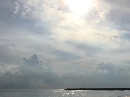 Awareness in 4 Steps Meditation