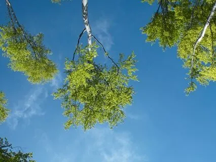 Awareness Is The Creator