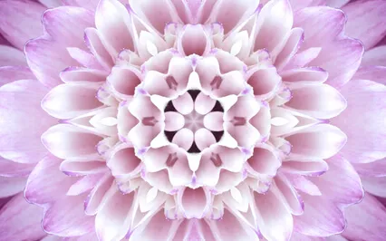 Awareness Meditation