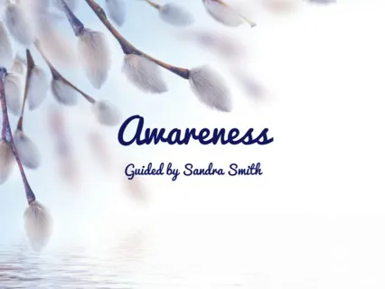 Awareness Meditation