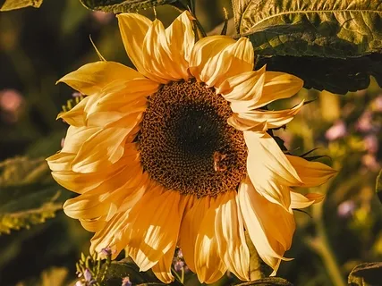 Bring Awareness To The Body 