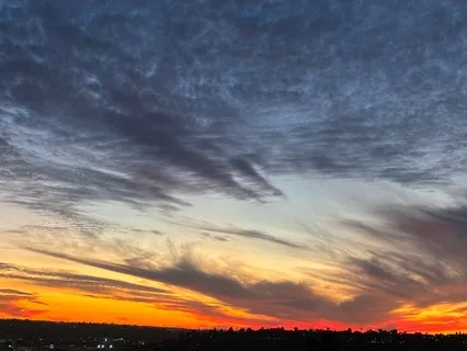 Awareness Meditation