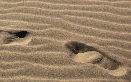 Awareness Of Body & Breath