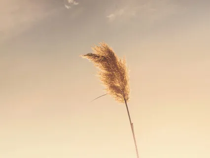 Διαλογισμός mindfulness για το άγχος