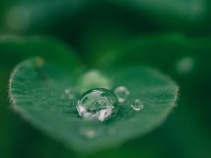 Awareness Of Breath Practice