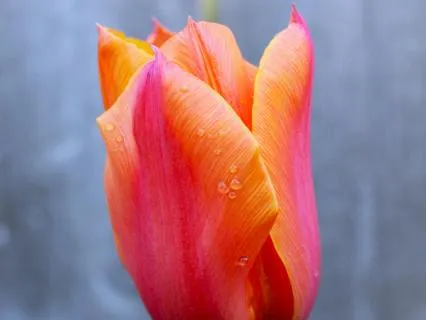Awareness Of Breath Meditation