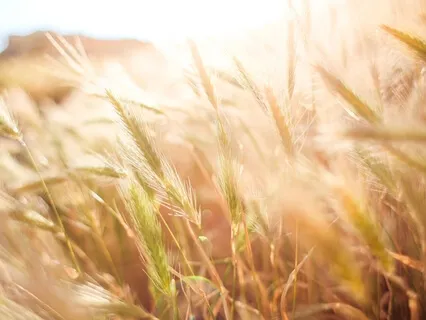 Awareness of Breathing