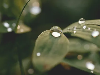 Awareness of Breathing