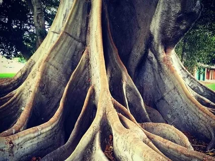 Awareness of Breathing, Body & Sounds