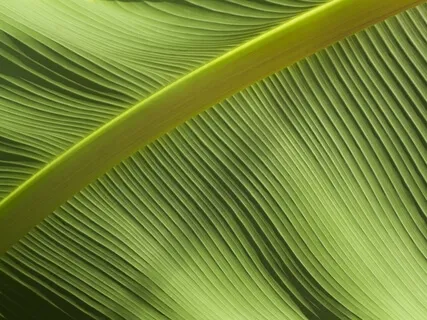 Awareness Of Breathing For Concentration & Focus