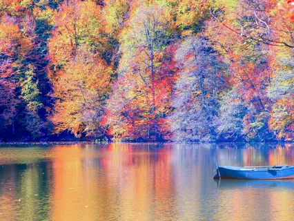 Awareness Of Breathing With Teresa Johnson