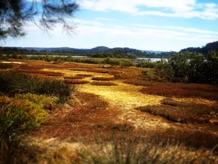 Awareness of Breathing