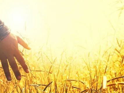 Awareness Of Each Of The Five Senses