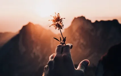 Awareness Of Emotions In The Body