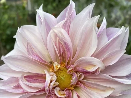 Awareness Of Positive Changes