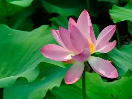 Awareness Of Presence