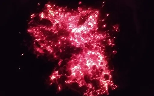 Awareness Of Process & Control - "Meditation For People..."