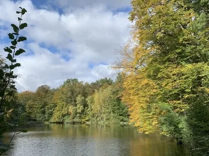 Awareness Of Sounds & Sensations