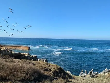 Awareness Of Sounds & Silence