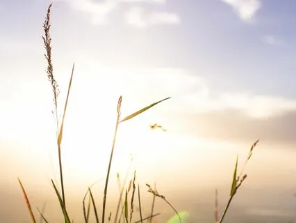 Awareness Of The 5 Senses Meditation