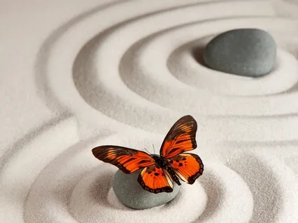 Awareness Of The Senses, A Simple Grounding Meditation