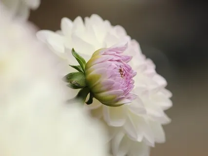 Awareness Of The Subtle