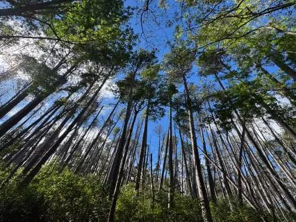 Awareness Of The Value Of Kindness