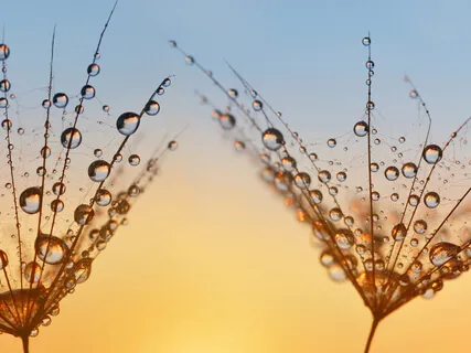 Awareness Of Thoughts