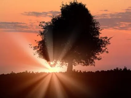 Awareness Of Your Abundance