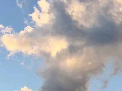 Awareness Practice For A Healthy BodyMind