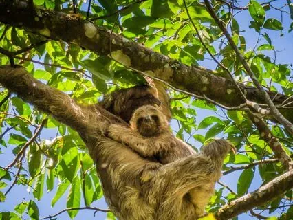 Awareness Practice To Cultivate Energy Maintenance