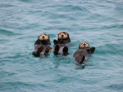 Awareness Practice To Lighten From Grief