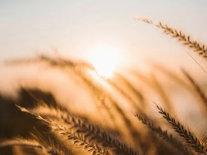 Awareness Satsang: A Wave Of Love To Nourish Your Inner Self