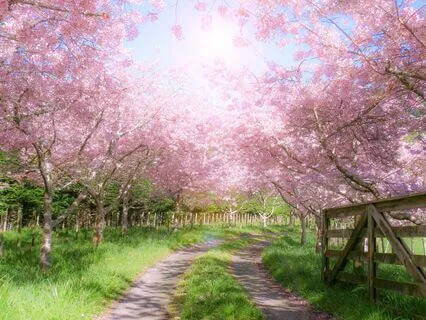 Awareness Satsang: How To Evolve As A Human Being