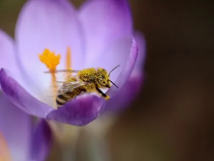 Awareness Satsang: Is Concrete Reality Really A Thing?