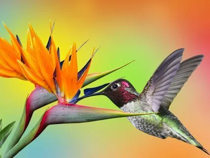 Awareness Satsang: Learning To Trust Our Inner Guidance