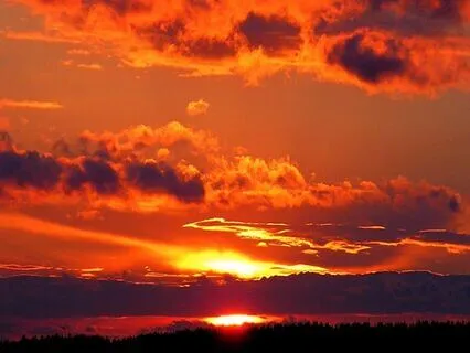 Awareness Satsang: Opening Up Inside Changes Everything