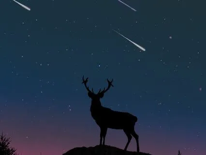 Awareness Satsang:  Q And A:  The Courage To Be Vulnerable