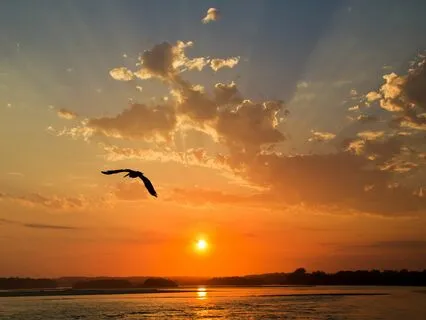 Awareness Satsang: Question And Answer About Finding Freedom