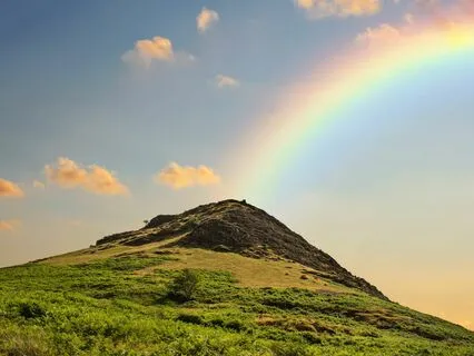Awareness Satsang: The Road Back Home