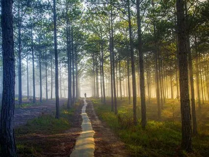 Awareness Satsang: The Truth Of The Lived Spiritual Journey