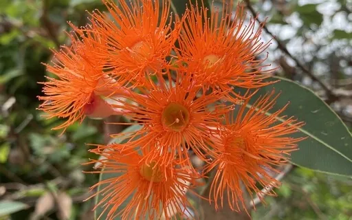 Awareness To Feel Your Emotions 