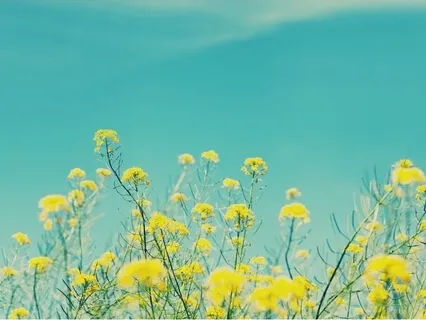 Awareness To Sound And Inner Listening