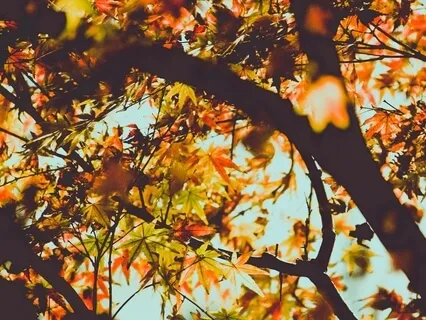 Awareness To Unfoldments In Our Life 